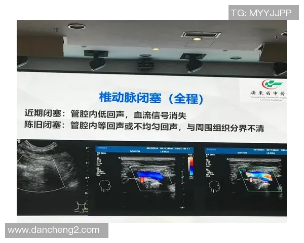 布尔格与索肖的对决分析及双方近期状态评估 布尔格与索肖的对决分析及双方近期状态评估