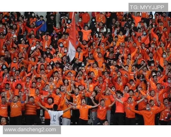 竞彩取消中国对韩国比赛引发球迷热议与期待未来赛事恢复